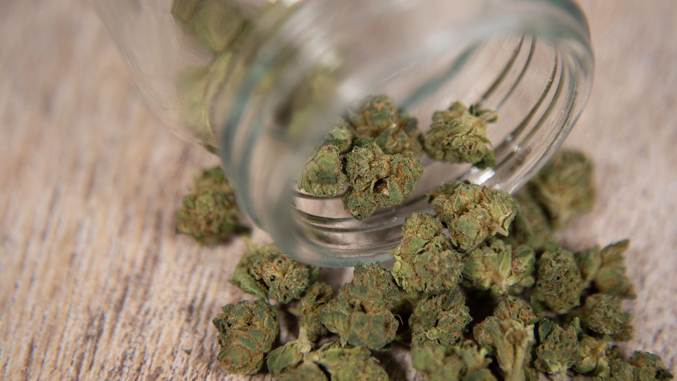 420, New Year’s, and Beyond: Seasonal Cannabis Trends in Nevada’s Market